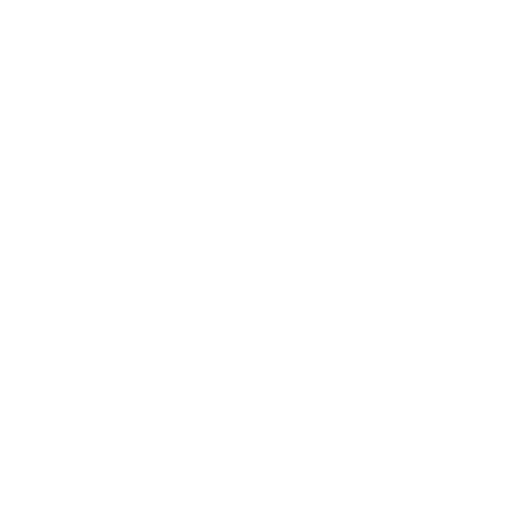 navigation icon